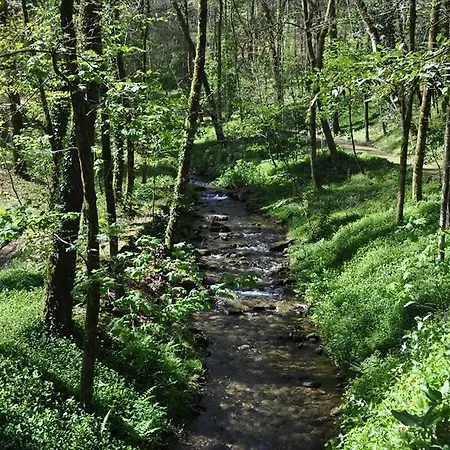 Aparthotel Bungalows Termas De 3*