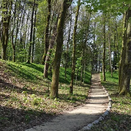 Aparthotel Bungalows Termas De