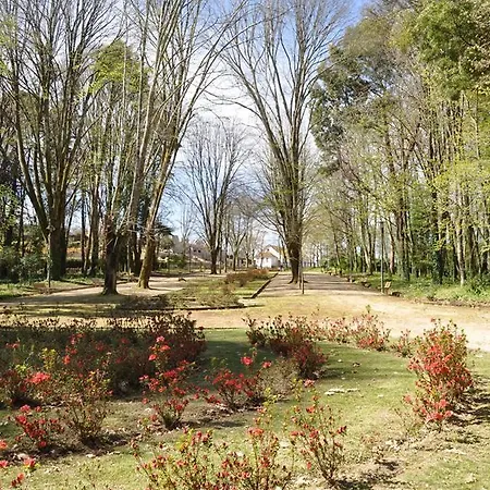 Bungalows Termas De Melgaço