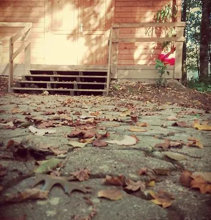 Aparthotel Bungalows Termas De