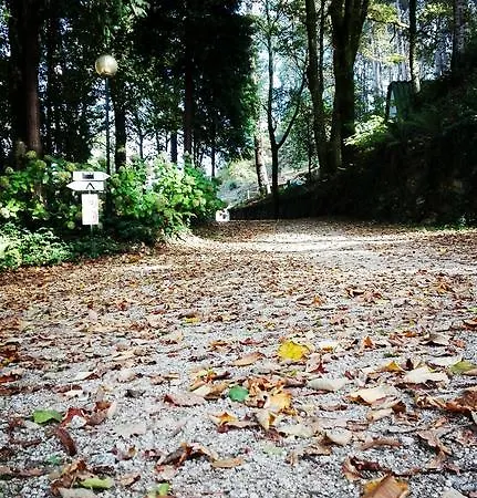 Aparthotel Bungalows Termas De 3*