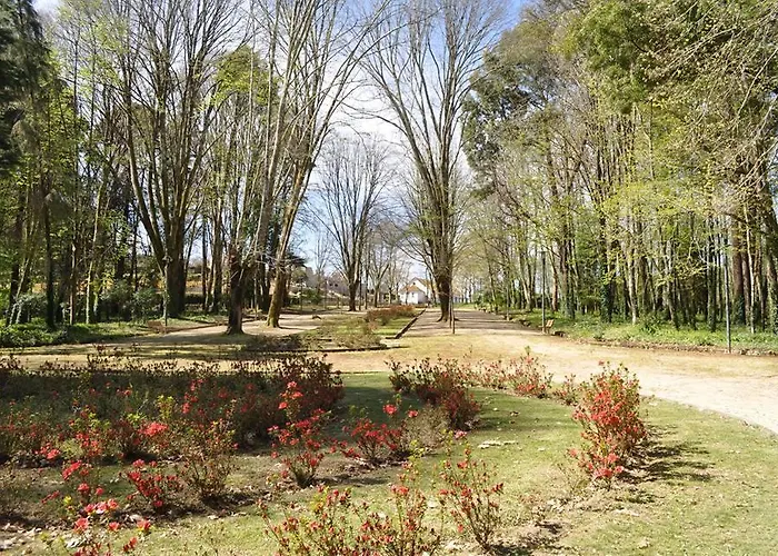 Bungalows Termas De Melgaço