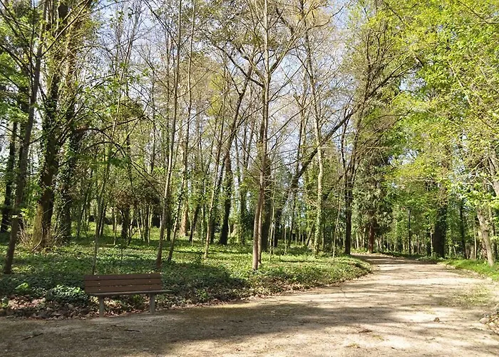 Bungalows Termas De شقة فندقية