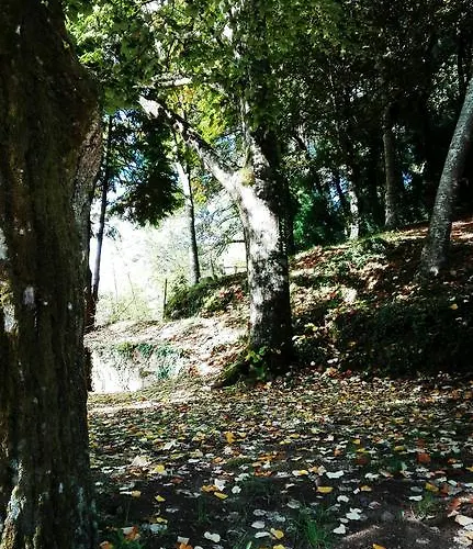 Bungalows Termas De Aparthotel