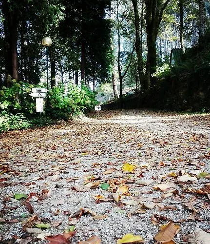 Aparthotel Bungalows Termas De 3*